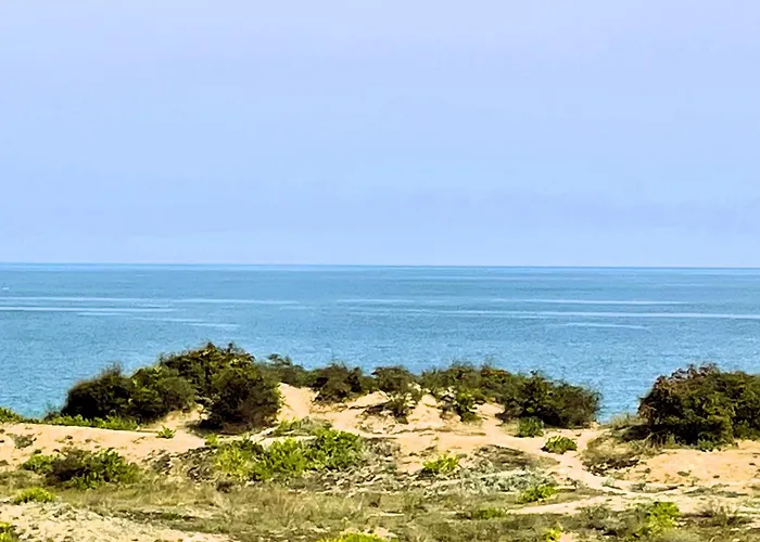 Private Stamopolu Lux Hotel apartamentowy Primorsko